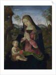 Virgin and Child, c. 1490-1500 by Pintoricchio