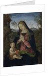 Virgin and Child, c. 1490-1500 by Pintoricchio