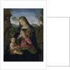 Virgin and Child, c. 1490-1500 by Pintoricchio