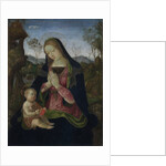 Virgin and Child, c. 1490-1500 by Pintoricchio