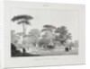Voyage en Italie en 1822, 1833 by Jean-Baptiste Isabey