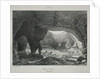 Voyages pittoresques et romantiques dans lancienne France. Franche-Comté…, 1825 by James Duffield Harding