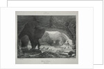 Voyages pittoresques et romantiques dans lancienne France. Franche-Comté…, 1825 by James Duffield Harding
