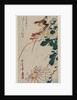 Warbler and Chrysanthemums, mid 1830s by Ando Hiroshige