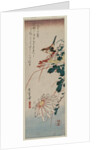Warbler and Chrysanthemums, mid 1830s by Ando Hiroshige