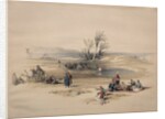 Wells of Moses, Wilderness of Tyh, 1839 by David Roberts
