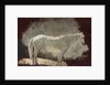 White Mare, c. 1868 by Winslow Homer
