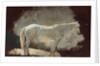 White Mare, c. 1868 by Winslow Homer