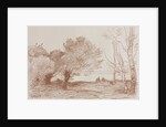 Willows and Poplars, 1871 by Jean Baptiste Camille Corot; Robaut