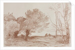 Willows and Poplars, 1871 by Jean Baptiste Camille Corot; Robaut