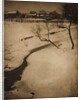 Winter Landscape, c. 1900 by Clarence H. White