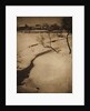 Winter Landscape, c. 1900 by Clarence H. White
