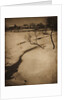 Winter Landscape, c. 1900 by Clarence H. White