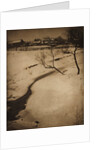 Winter Landscape, c. 1900 by Clarence H. White