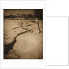 Winter Landscape, c. 1900 by Clarence H. White