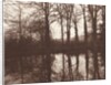 Winter Trees Reflected in a Pond, 1841-42 by William Henry Fox Talbot