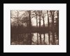 Winter Trees Reflected in a Pond, 1841-42 by William Henry Fox Talbot