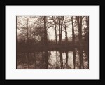 Winter Trees Reflected in a Pond, 1841-42 by William Henry Fox Talbot