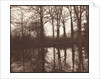 Winter Trees Reflected in a Pond, 1841-42 by William Henry Fox Talbot