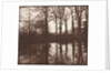 Winter Trees Reflected in a Pond, 1841-42 by William Henry Fox Talbot