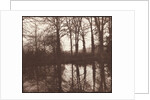 Winter Trees Reflected in a Pond, 1841-42 by William Henry Fox Talbot