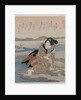 Woman Digging Clams; from the series Five Pictures of Low Tide, late 1820s by Utagawa Kuniyoshi