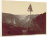 Yosemite Valley from Mariposa Trail, c. 1865 by Charles Leander Weed