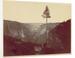 Yosemite Valley from Mariposa Trail, c. 1865 by Charles Leander Weed