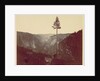 Yosemite Valley from Mariposa Trail, c. 1865 by Charles Leander Weed