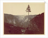 Yosemite Valley from Mariposa Trail, c. 1865 by Charles Leander Weed