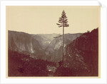 Yosemite Valley from Mariposa Trail, c. 1865 by Charles Leander Weed