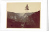 Yosemite Valley from Mariposa Trail, c. 1865 by Charles Leander Weed