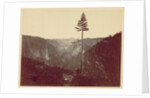 Yosemite Valley from Mariposa Trail, c. 1865 by Charles Leander Weed