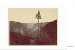 Yosemite Valley from Mariposa Trail, c. 1865 by Charles Leander Weed