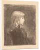 Young Lady, 1892 by Charles Marie Dulac