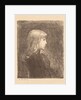 Young Lady, 1892 by Charles Marie Dulac