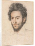 Young Man with a Beard by François Quesnel (attributed to)