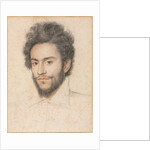 Young Man with a Beard by François Quesnel (attributed to)