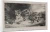 Young Tiger Playing with its Mother, 1831 by Eugène Delacroix