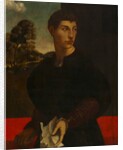 Portrait of a Young Man, c. 1530 by Dosso Dossi (follower of)