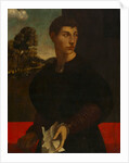 Portrait of a Young Man, c. 1530 by Dosso Dossi (follower of)