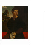 Portrait of a Young Man, c. 1530 by Dosso Dossi (follower of)