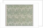 Untitled by William Morris