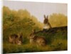 Rabbits on a Log, 1897 by Arthur Fitzwilliam Tait