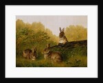 Rabbits on a Log, 1897 by Arthur Fitzwilliam Tait