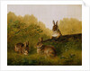 Rabbits on a Log, 1897 by Arthur Fitzwilliam Tait