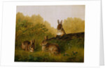 Rabbits on a Log, 1897 by Arthur Fitzwilliam Tait