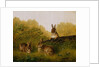 Rabbits on a Log, 1897 by Arthur Fitzwilliam Tait