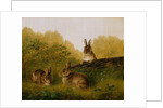 Rabbits on a Log, 1897 by Arthur Fitzwilliam Tait