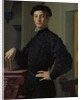 Portrait of a Young Man, 1530s by Agnolo Bronzino